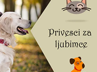 Kako sprečiti da se ljubimac izgubi?