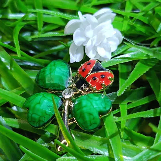 Broš model "Ladybug"